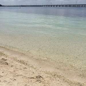 Meet your Posher, Rita